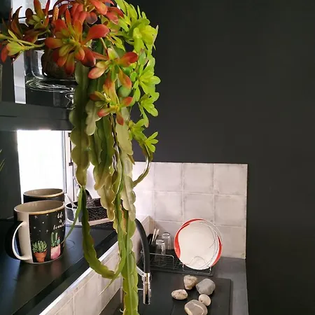 Christina Boutique Apartman Kosz